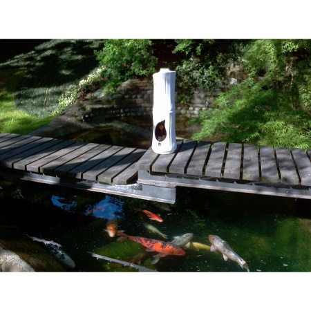 Керамический биокамин RG di Romagnioli e Giardini Bamboo по цене 89 900 руб.